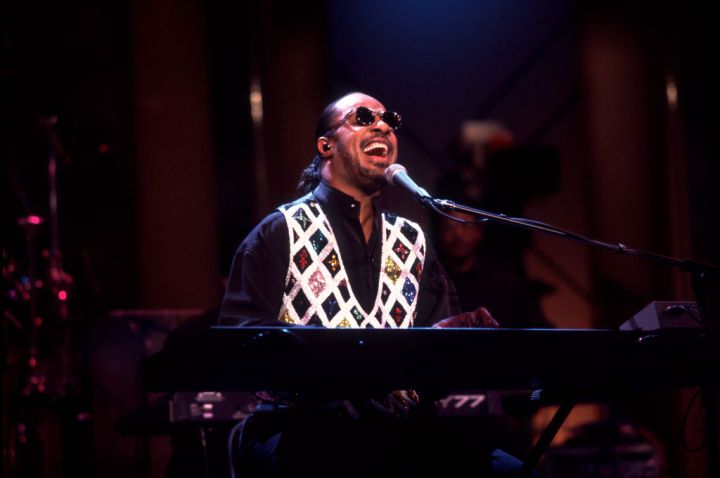 Stevie wonder c dragonwagon essay 08 Stevie wonder c dragonwagon essay 08 image